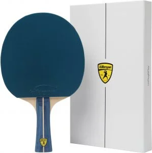 Best Ping Pong Paddles