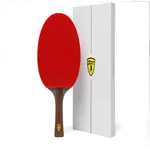 Best ping pong paddles