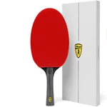 Best ping pong paddles