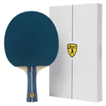 Best ping pong paddles